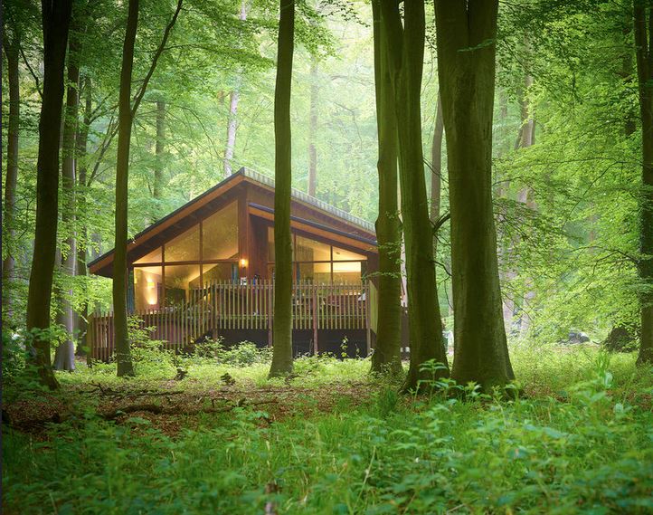 The cabins